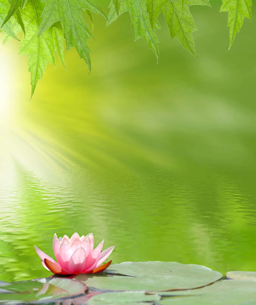 All about Chakras and Meditation