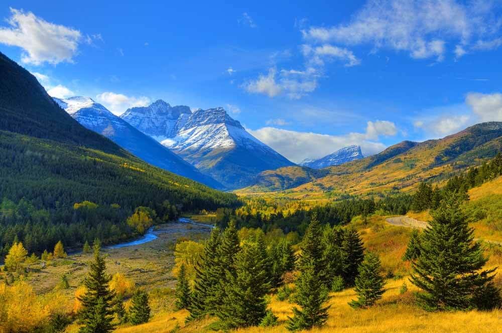 how to find out what you want