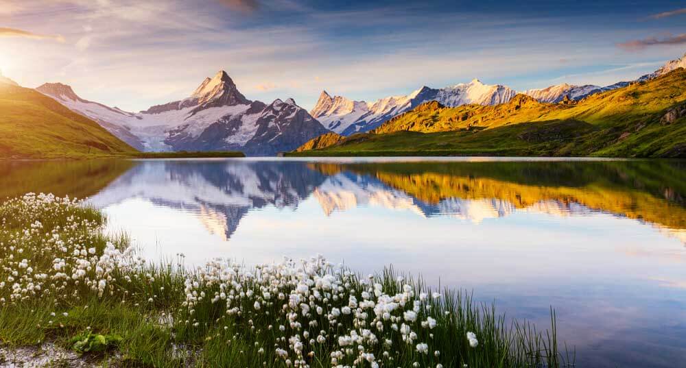 Is Your Meditation Merely Skimming the Surface