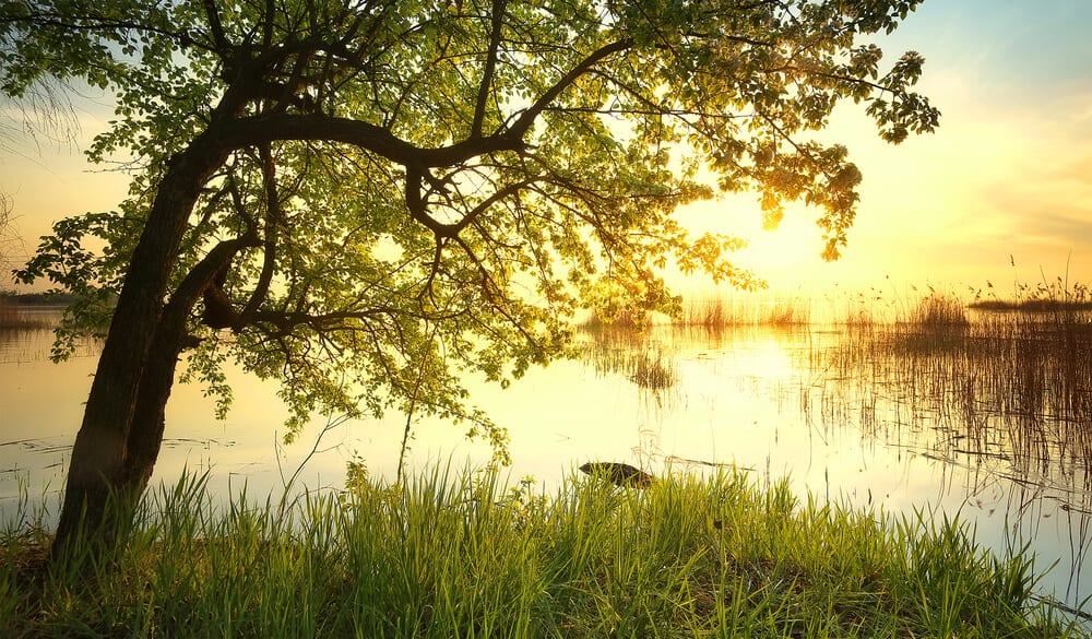 How Meditation develops Humility inside you