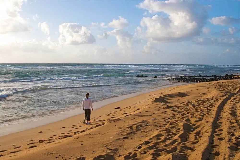 Highly Effective Meditation Techniques for Spring and Summer