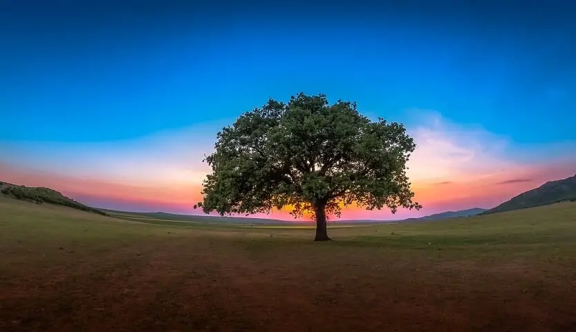 How to turn social distancing into a benefit
