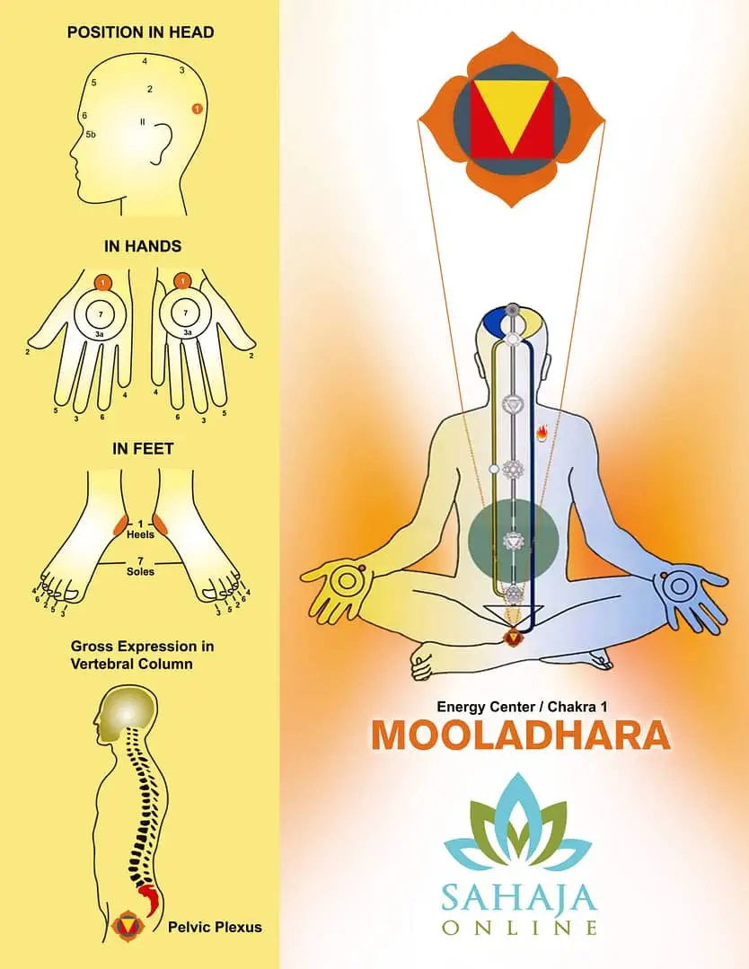 Mooladhara chakra – the rudder and basis of our lives