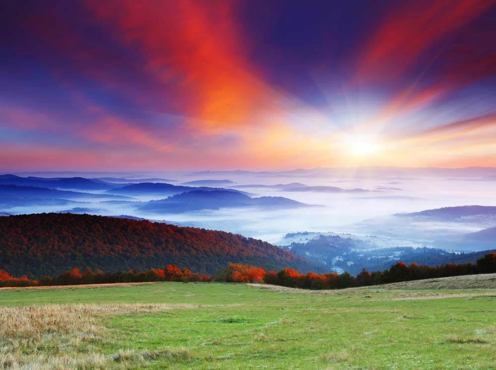 Ways to Dumb Meditation