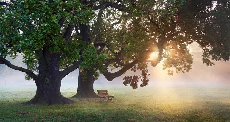 Are Our Brains Hardwired to Be Spiritual or Non-Spiritual