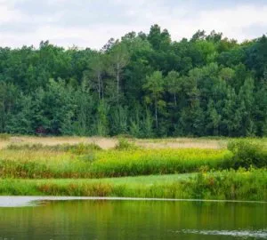 7-300x270 When the Spirit Overpowers the Mind Meditation Online