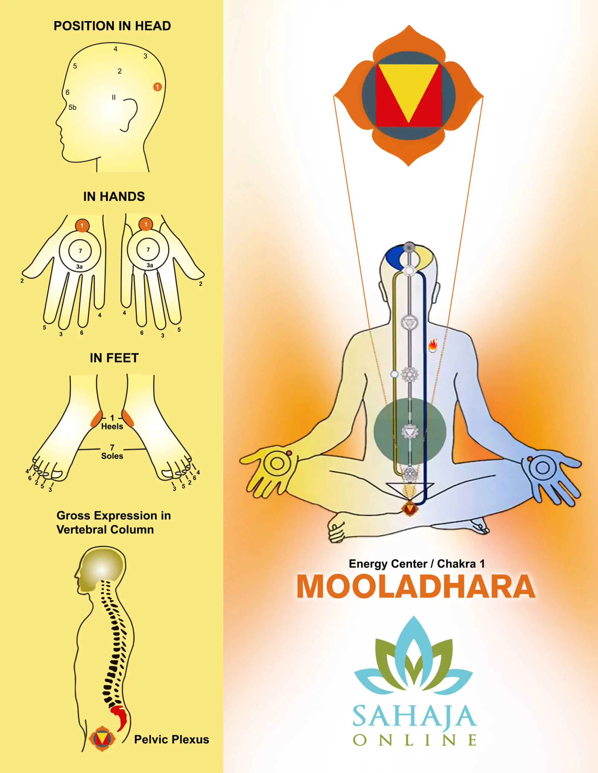 Mooladhara chakra – the rudder and basis of our lives
