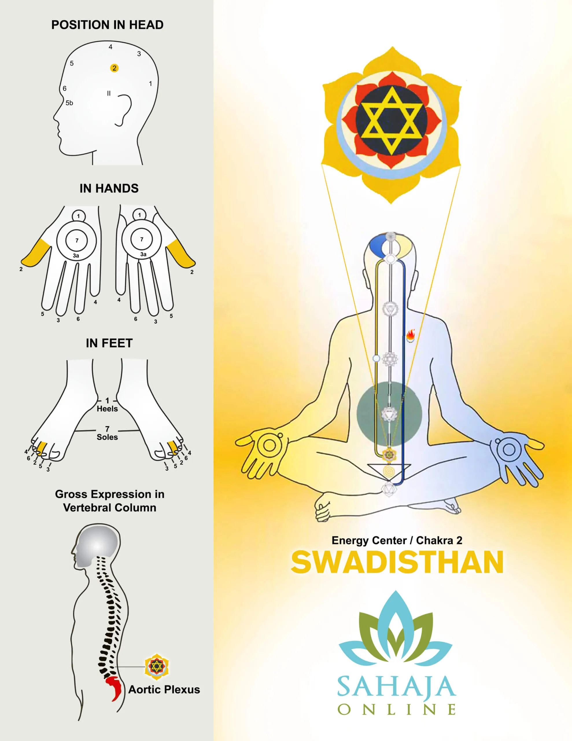Swadishtana chakra  – the power behind magnificent creations