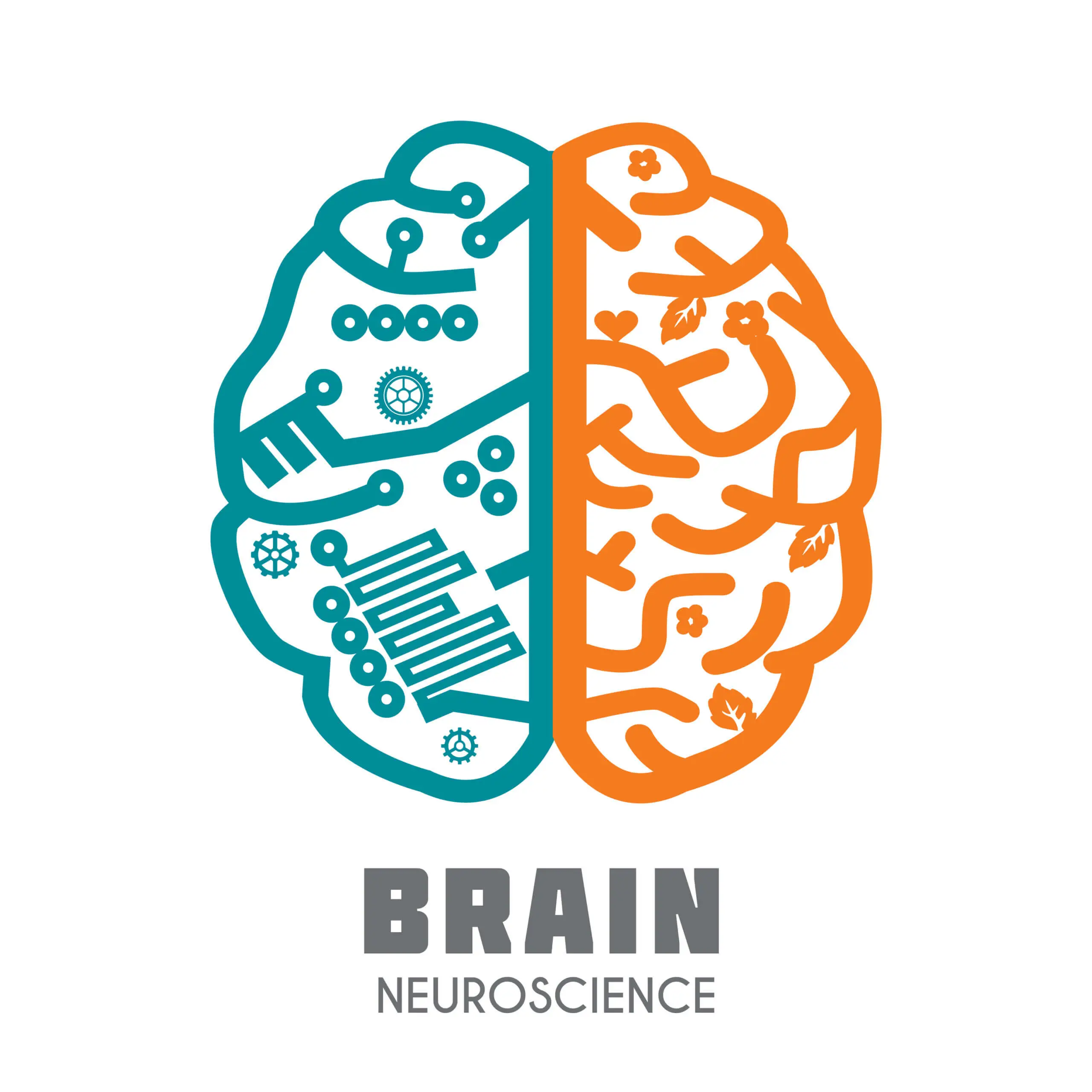 How meditation influences your brain and nervous system