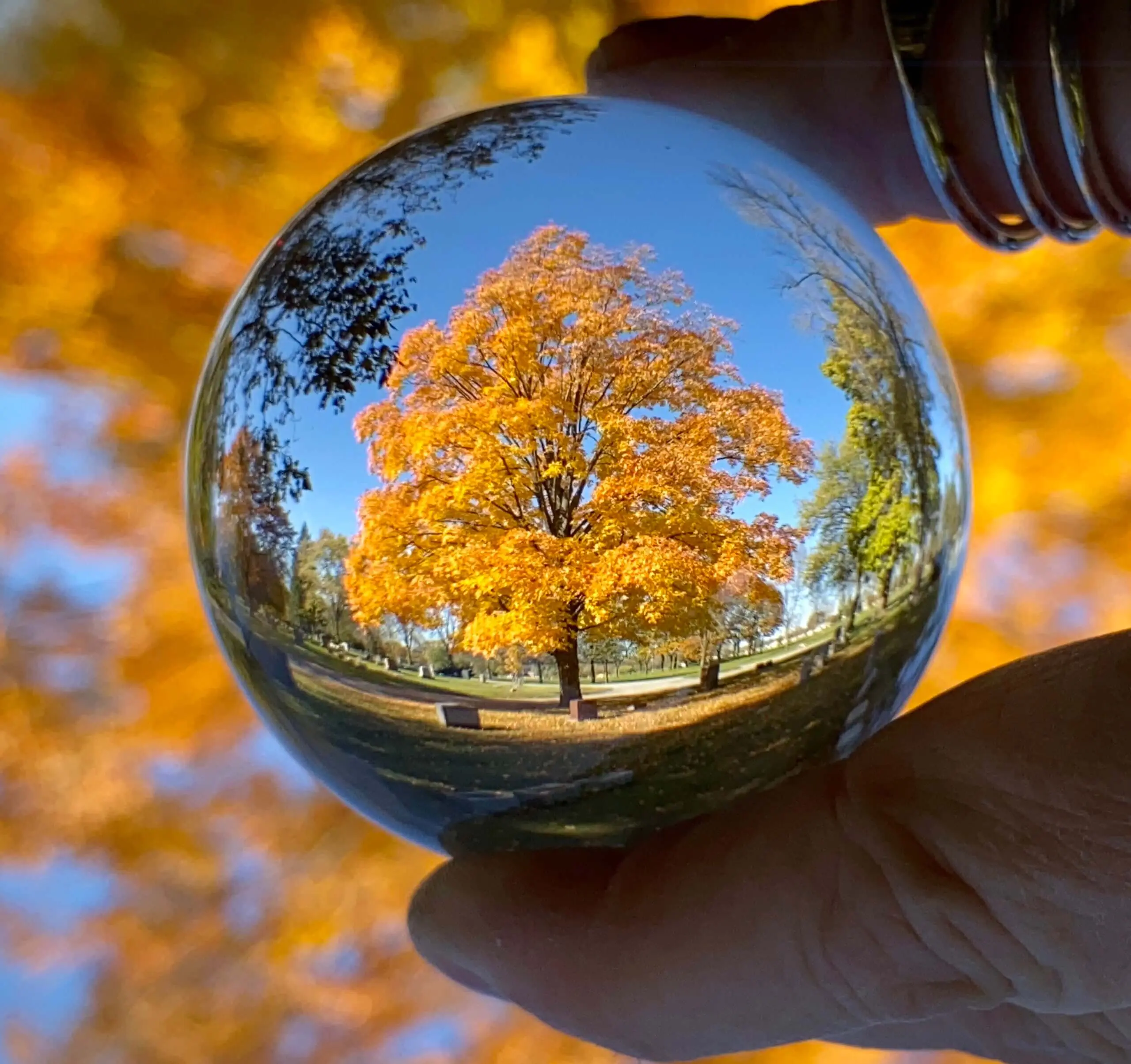 How meditation improves our perspective and sense of perception