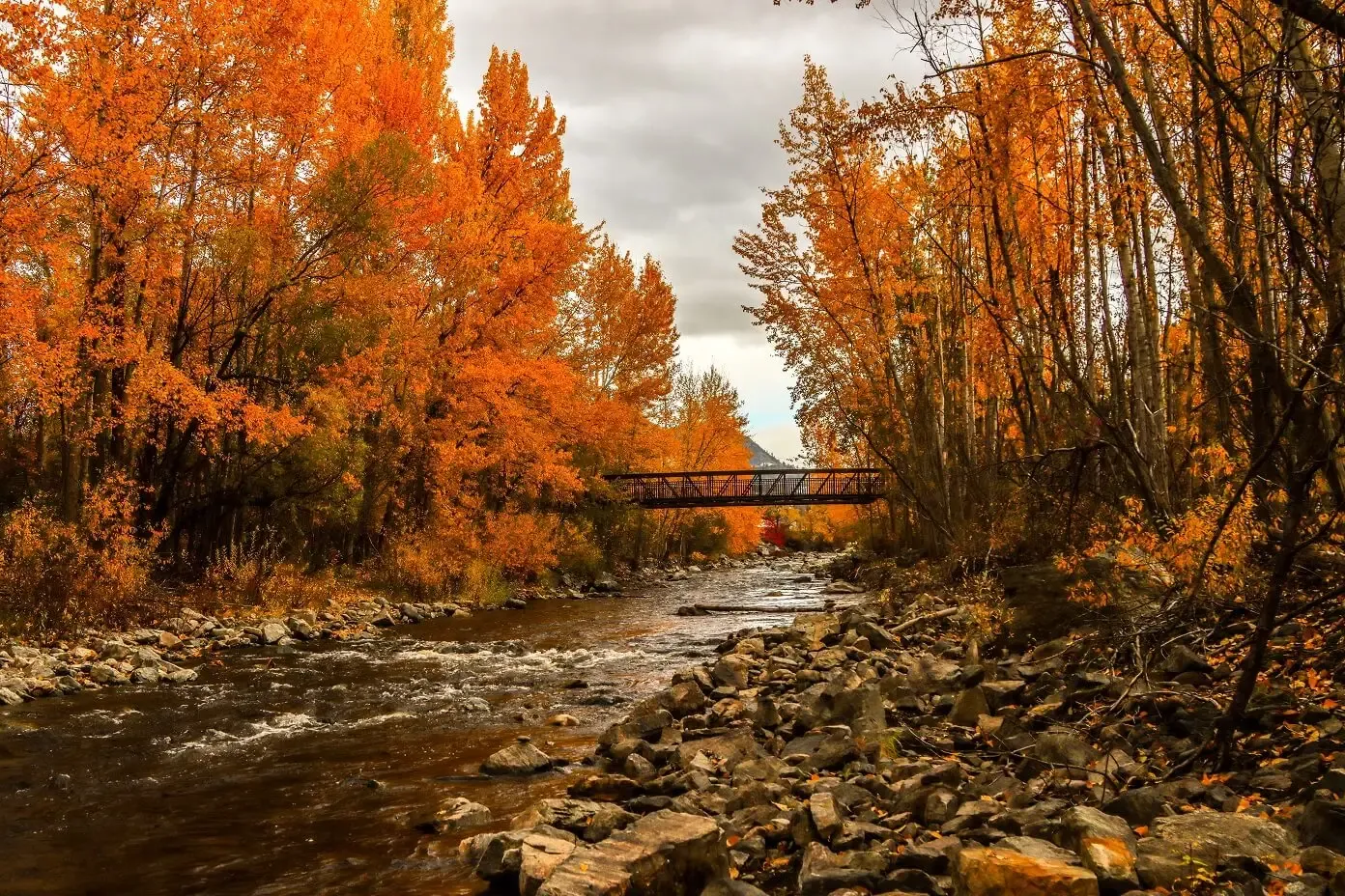 Meditation feels difficult